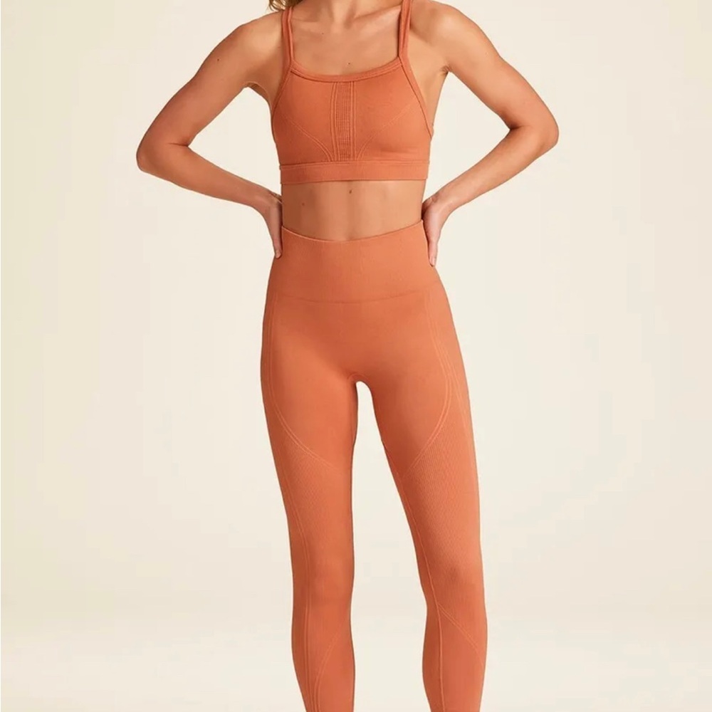 NWT Women's NEW Leggings and Top ALALA Terracotta Seamless Set size M